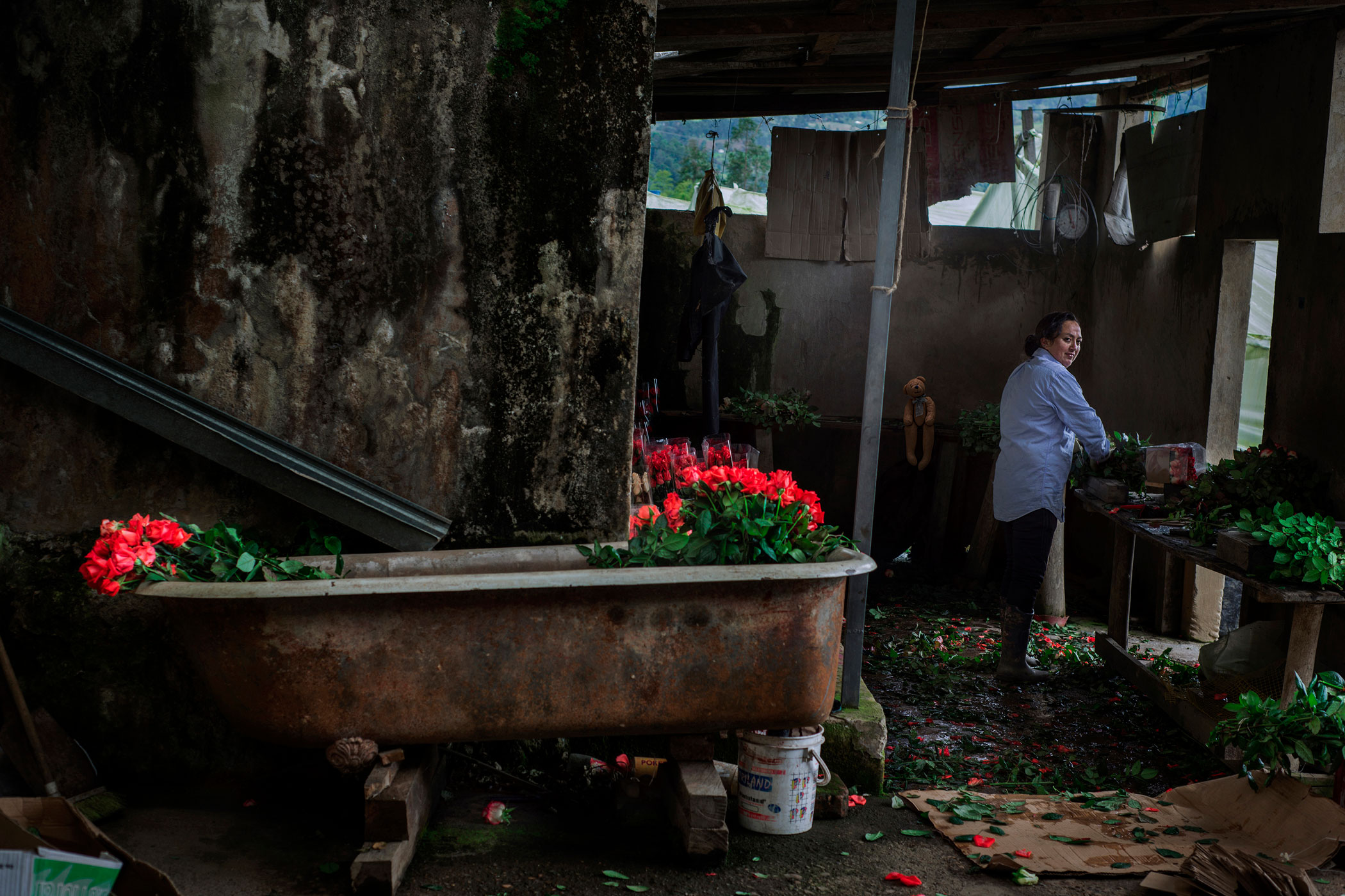 The Inner Garden — psychological art by Andres Galan